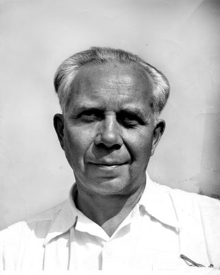 Ivar Lo Johansson