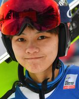 Liu Qi