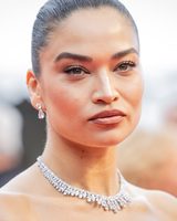 Shanina Shaik